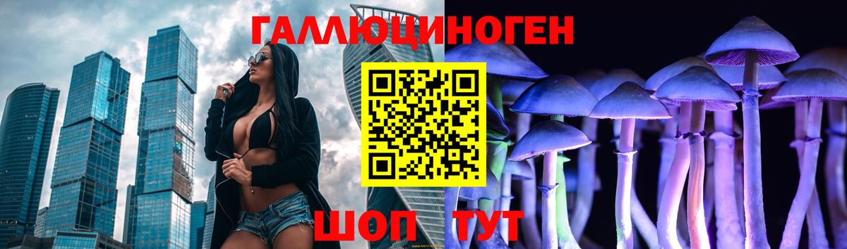 Галлюциногенные грибы Cubensis  Вход с VPN  Галлюциногенные грибы Magic Shrooms  Нововоронеж 